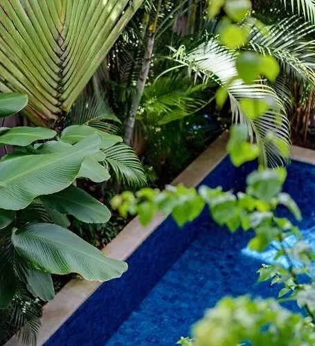 アパート Stylish 1 Bd Pvt W Shared Kitchen And Pool スミニャック